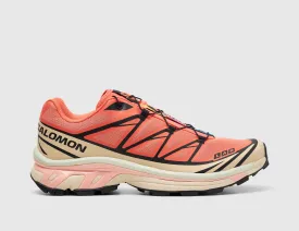 Salomon Sportstyle XT-6 Living Coral / Black - Cement